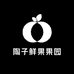 陶子鲜果果园