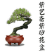 紫艺斋紫砂花盆