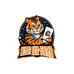 Tiger球星卡潮玩俱乐部