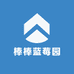 棒棒蓝莓园