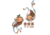 福泽果宝杏皮茶