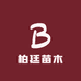 柏廷苗木
