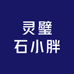 月沉璧灵璧石