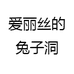 肥兔外贸工作室