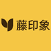 藤印象官方旗舰店