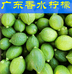 东边鲜果园