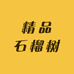精品石榴树