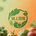 链上田园果蔬优品店