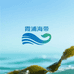 霞浦海带源头产地
