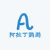 阿拉丁手养鹦鹉