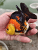 泰狮玛丽观赏鱼水族馆