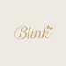 Blink饰品店