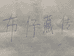 布仔藏传