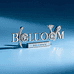 Boluomm深圳市梵小梵科技有限公司配饰专卖店