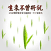 雀舌茶工厂店