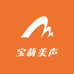宝莉美声音响专营店