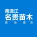 南流江贸易