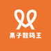 果子数码王