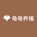 龟龟养殖