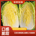高原霜打娃娃菜