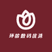 环笛数码优选