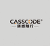 CASSCODE自感随行2店