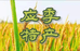 舒兰市应季特产物资经销处的小店