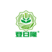 登日隆