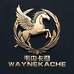 WAYNEKACHE韦内卡彻品质男装专卖店