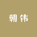 朝伟精选
