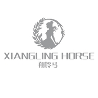 翔铃马潮牌服装设计