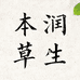 本草润生滋补店