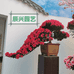 辰兴园艺场