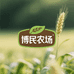 博民农场