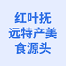 红叶特产美食城个体店