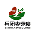 兵团枣菇良