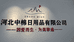 绵绵小仙洗脸巾