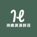 淇淇鲜花源头批发
