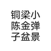小山坡金弹子