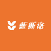 蓝斯洛台球用品1店