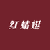红蜻蜓金典优质女鞋
