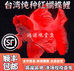 鸿源观赏鱼养殖