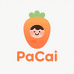 PaCai童装
