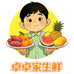 卓卓家生鲜供应链