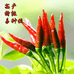 智锋农业