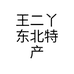 王二丫东北特产个体店