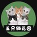 五只猫鲜花园艺