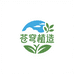 苍穹植造