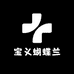 宝义蝴蝶兰