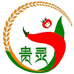 贵州百灵